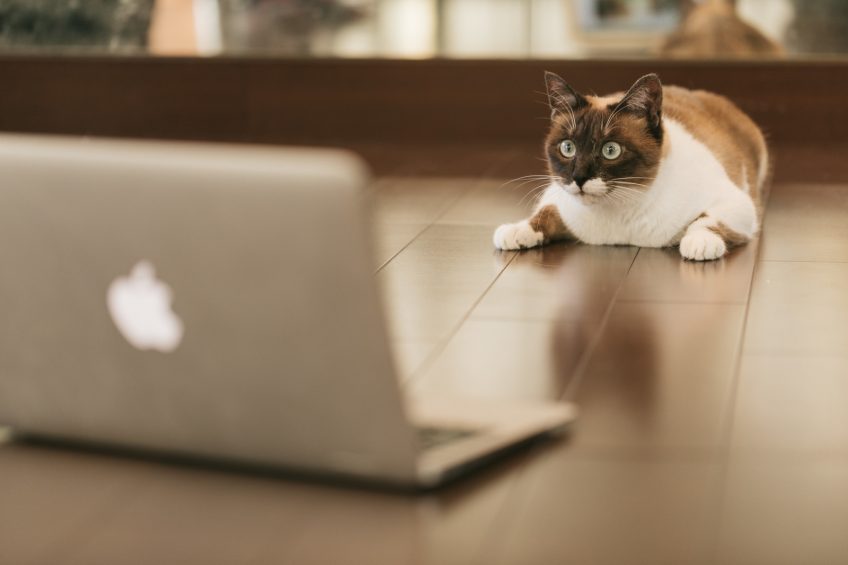 なぜ、私たちが「ワンストップ対応」にこだわるのか